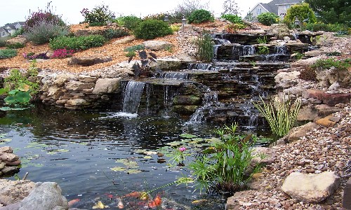 koi-pond-and-waterfalls-image
