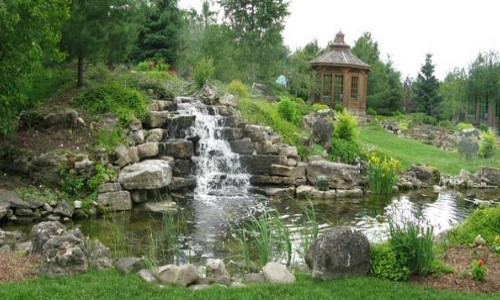 garden-pond-image