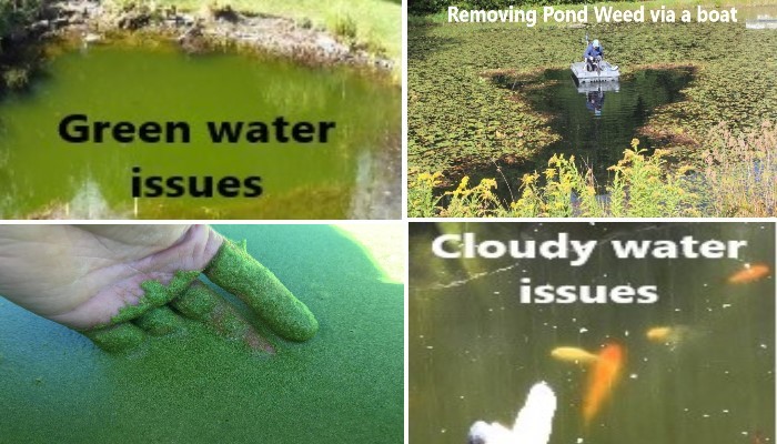 pond-water-management-image